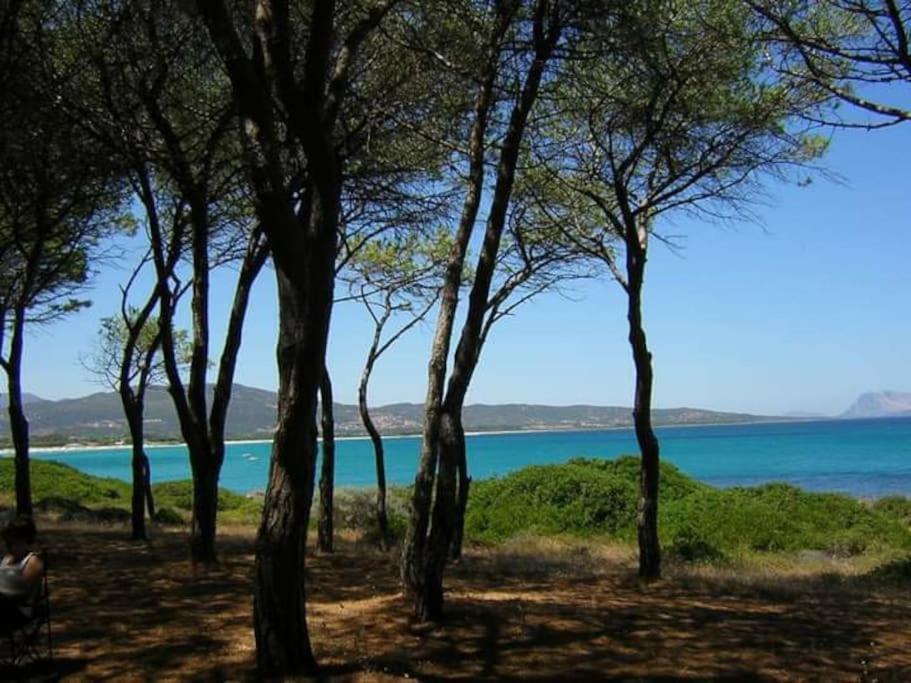 Villa Indipendente Al Mare Budoni Tanaunella Exterior foto
